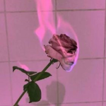 cool :):