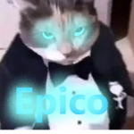 Grupo de GatosFino