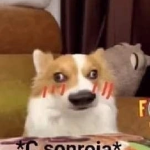 [ Content Deleted 10123386 ]