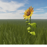 TheSunflowerProductions