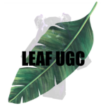 Leaf ugc