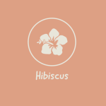 *~Hibiscus~*