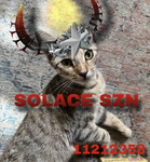 SOLACE SZN