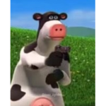 yafavv