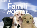 HOSTEL (public)