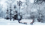 Winter jolly friends