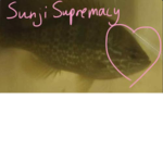 Sunji (S5)