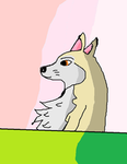 Animals meme fantasies