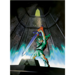 Yes, I got The MASTER SWORD :D