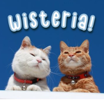 wisteria ! Group Thumbnail