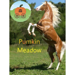 ~Pumpkin Meadow Stable~