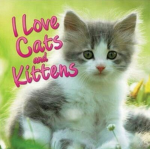 MEEEEEOOOOOWWWWWWWWWWWWWWWWWWW