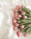 Pretty In Pink ! - lexie