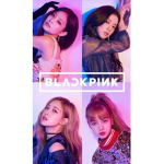 BLACKPINK FAN BASE