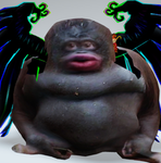 Monkey is cool gang!