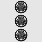 Tokugawa Domain