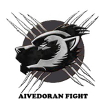 Aivedoran Sword Fight