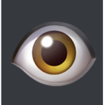 The Eye of Judgement