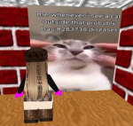 erm what the skibid1