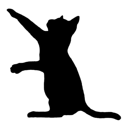 Cat Roblox decal