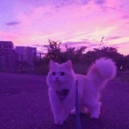 💜
