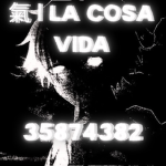 氣 | La Cosa Vida