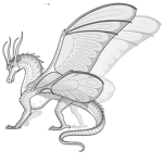 Wings of fire fan group!!