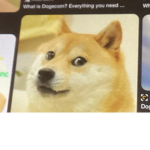 Doge/ WHL fan group