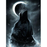 Its Wolf Gang!