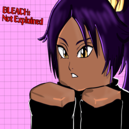 Bleach: Not Explained
