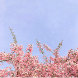 𝙒𝙝𝙖𝙩
