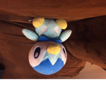 The Pokémon!
