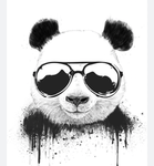Cool, panda fun