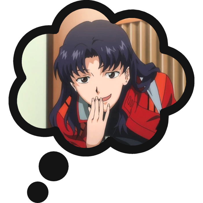 Thinking About Misato Katsuragi Neon Genesis Evang