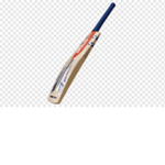Roblox Cricket Group