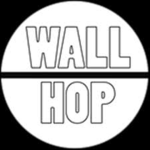 Wall Hop Practice Neon Obby