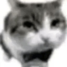 KJCT icon
