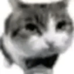 KJCT icon
