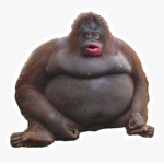 MONKE BANANA
