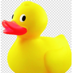 Ducky Committee