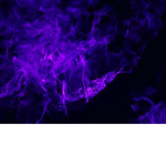 PurpleFlareee