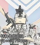[SOF]特种作战部队Special Operations Forces