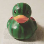 WATERMELON DUCK