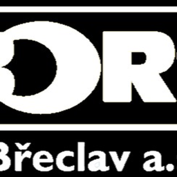 Projekt BORS