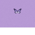 Maddyaesthetic