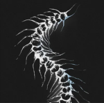 蚣 | Centipedes
