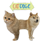 cat doges