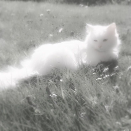 ♡