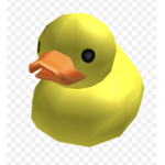 TEH EPIC DUCK!!1!!1!!1!!!1!!11!1!1!1!1!!1!1!11!1!1