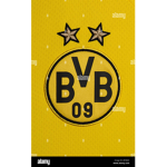 DORTMUND ACADEMY FOOTBALL CLUB